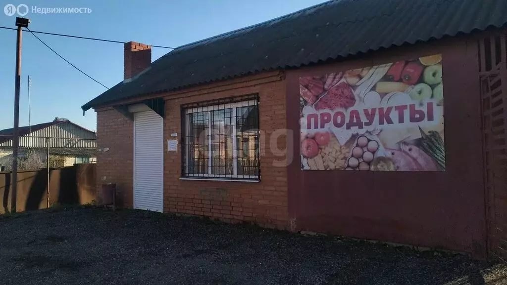 Помещение свободного назначения (47 м) - Фото 1