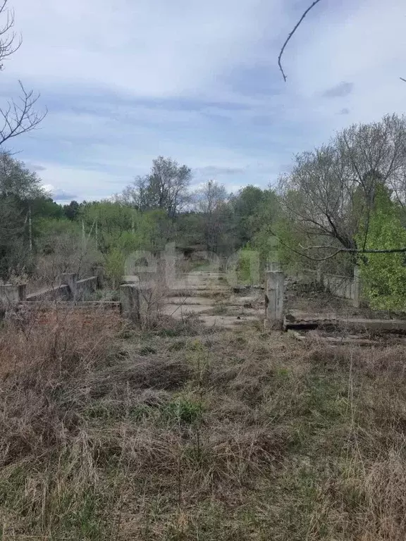 Участок в Амурская область, Благовещенский район, пос. Заречный  (16.7 ... - Фото 1
