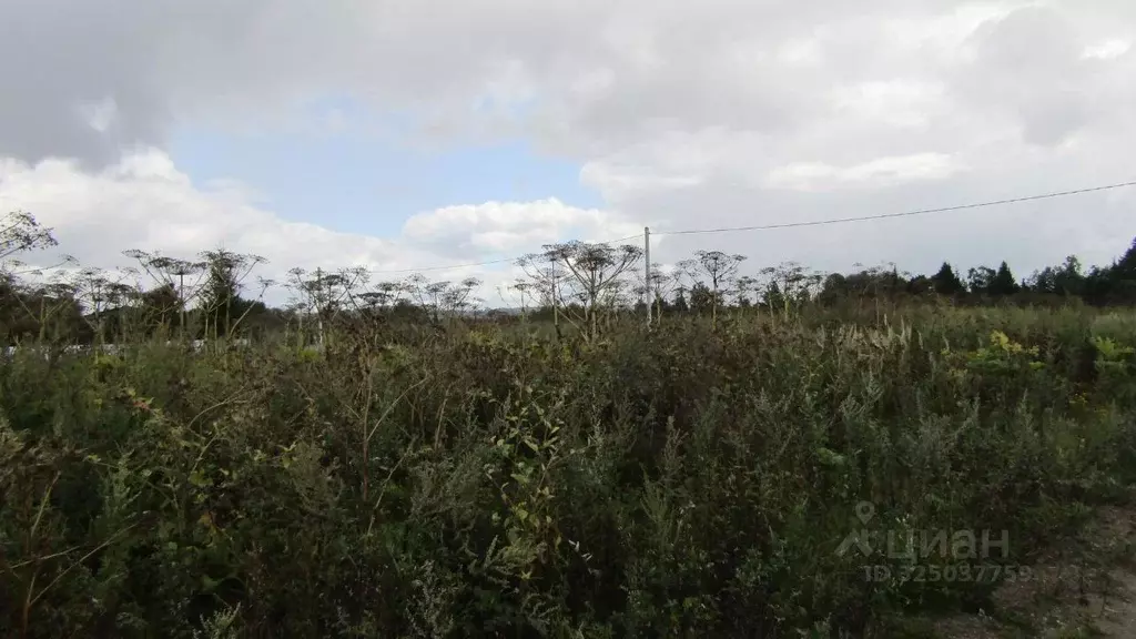 Участок в Московская область, Рузский муниципальный округ, д. Барынино ... - Фото 2