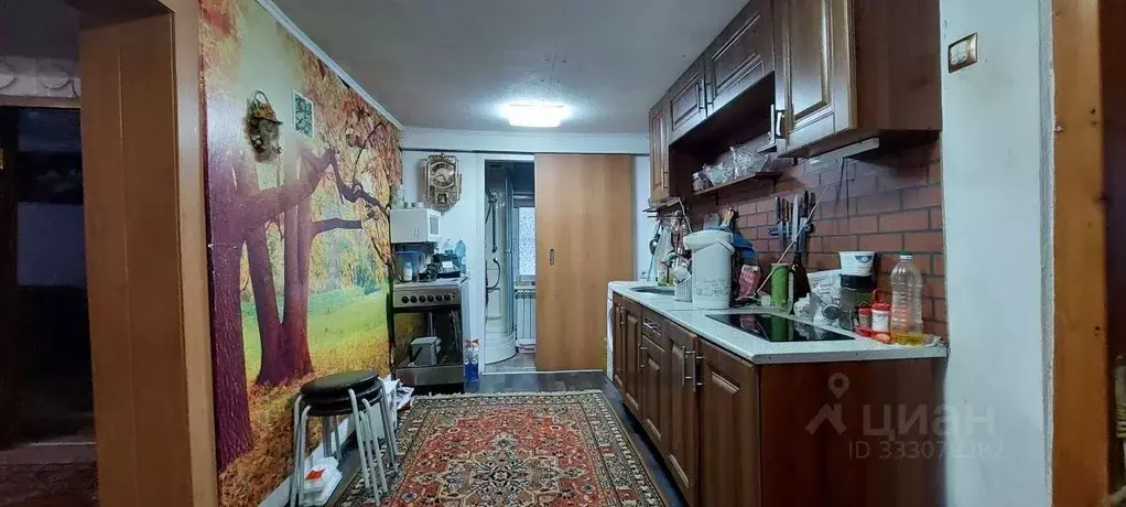 Дом в Новосибирская область, Новосибирск Бердское ш., 17 (47 м) - Фото 2