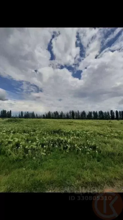 Участок в Крым, Белогорский район, с. Ароматное ул. Школьная, 26 (15.0 ... - Фото 1
