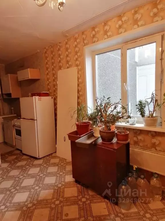 Студия Красноярский край, Красноярск бул. Солнечный, 15 (16.3 м) - Фото 2