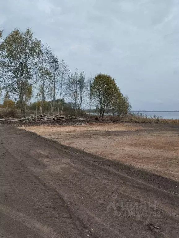 Участок в Новгородская область, Мошенской муниципальный округ, д. ... - Фото 0