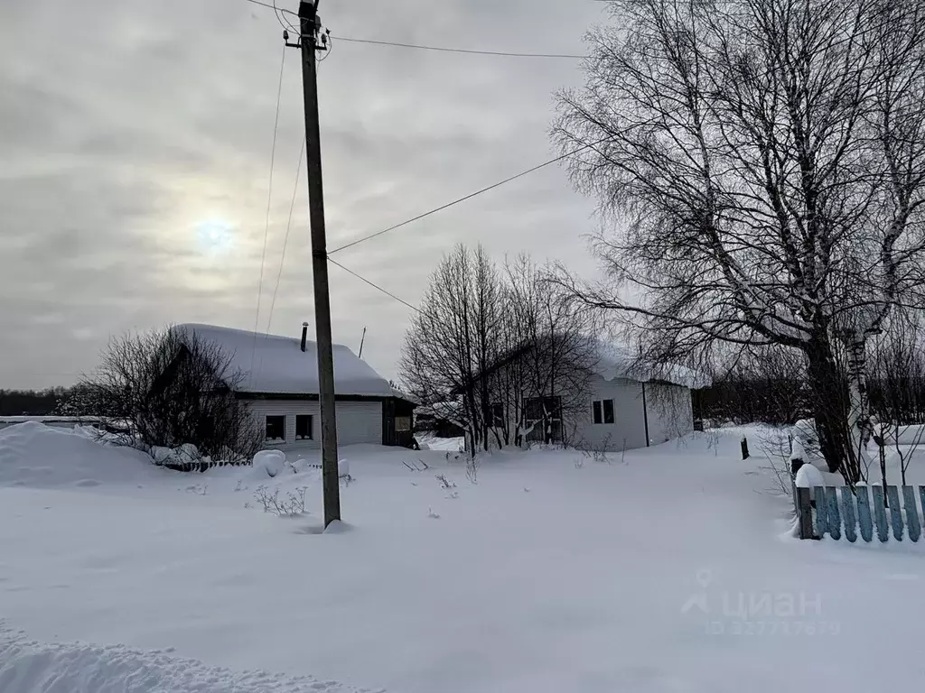 Дом в Пермский край, Осинский муниципальный округ, с. Паль ул. ... - Фото 1