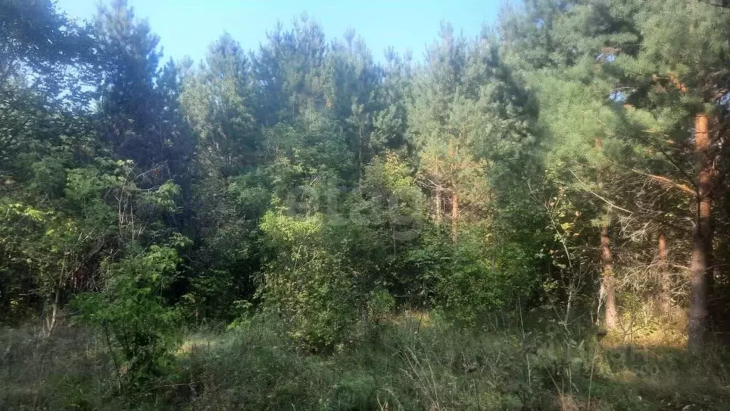 Участок в Саратовская область, Балашовский район, Большемеликское ... - Фото 0