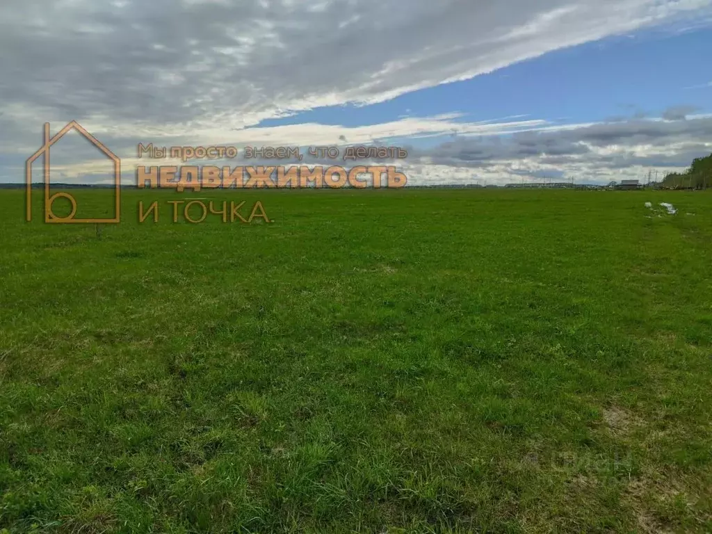 Участок в Башкортостан, Янаульский район, с. Карманово ул. Дружбы ... - Фото 1