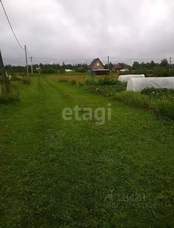 Участок в Новосибирская область, Коченевский район, Озерное ДНТ  (11.0 ... - Фото 0