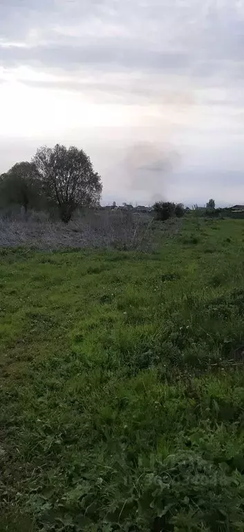 Участок в Ульяновская область, Старомайнский муниципальный округ, с. ... - Фото 1