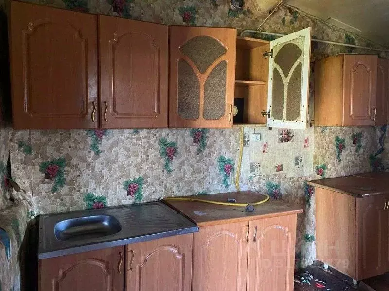 Дом в Оренбургская область, Соль-Илецкий муниципальный округ, с. ... - Фото 0