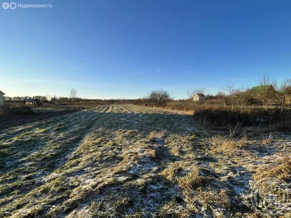 Дом в Скребловское сельское поселение, деревня Госткино (25 м) - Фото 1