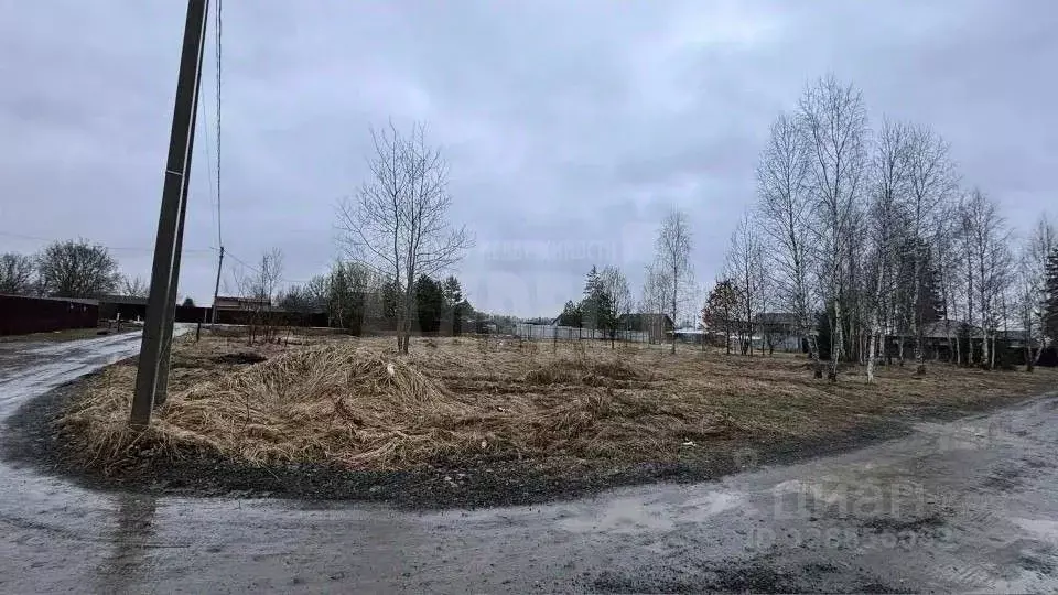 Участок в Калужская область, Жуковский муниципальный округ, с. Совхоз ... - Фото 2