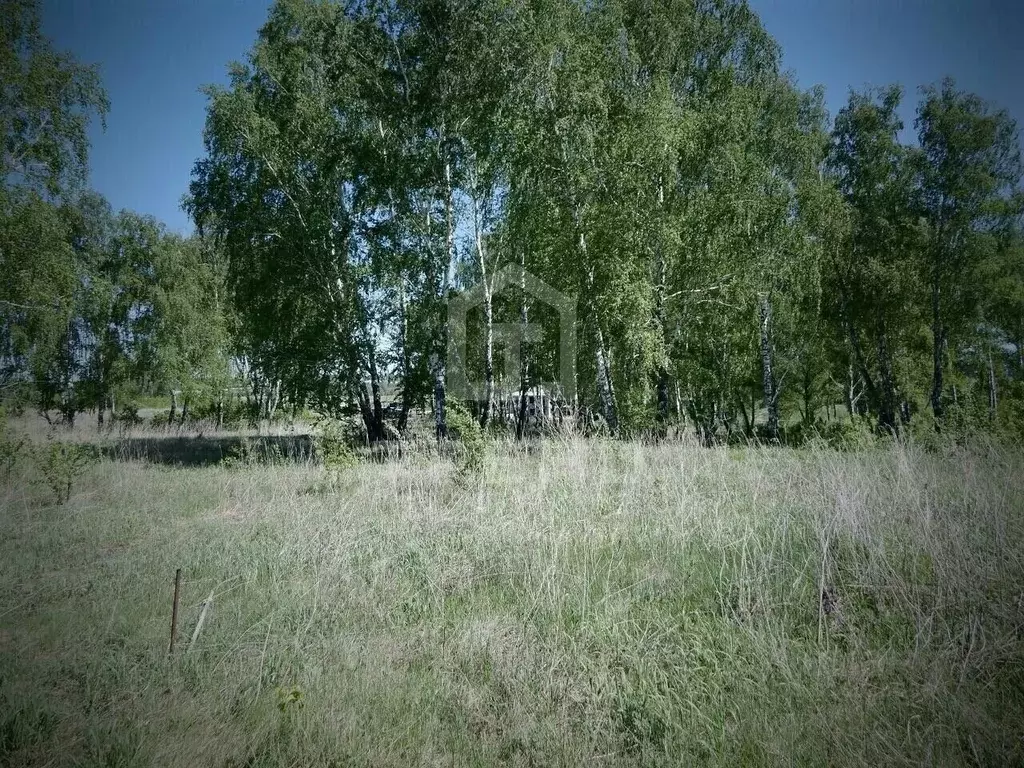 Участок в Ленинградская область, Всеволожский район, Колтушское ... - Фото 1