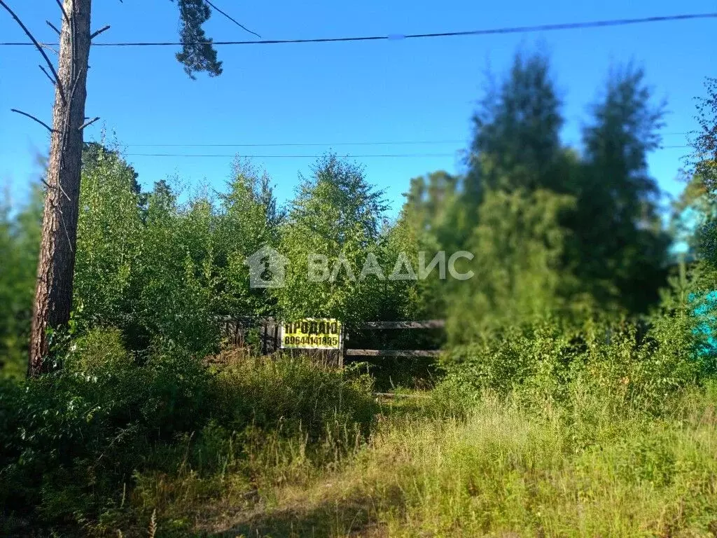 Участок в Бурятия, Баргузинский район, с. Максимиха ул. Гагарина (12.0 ... - Фото 1