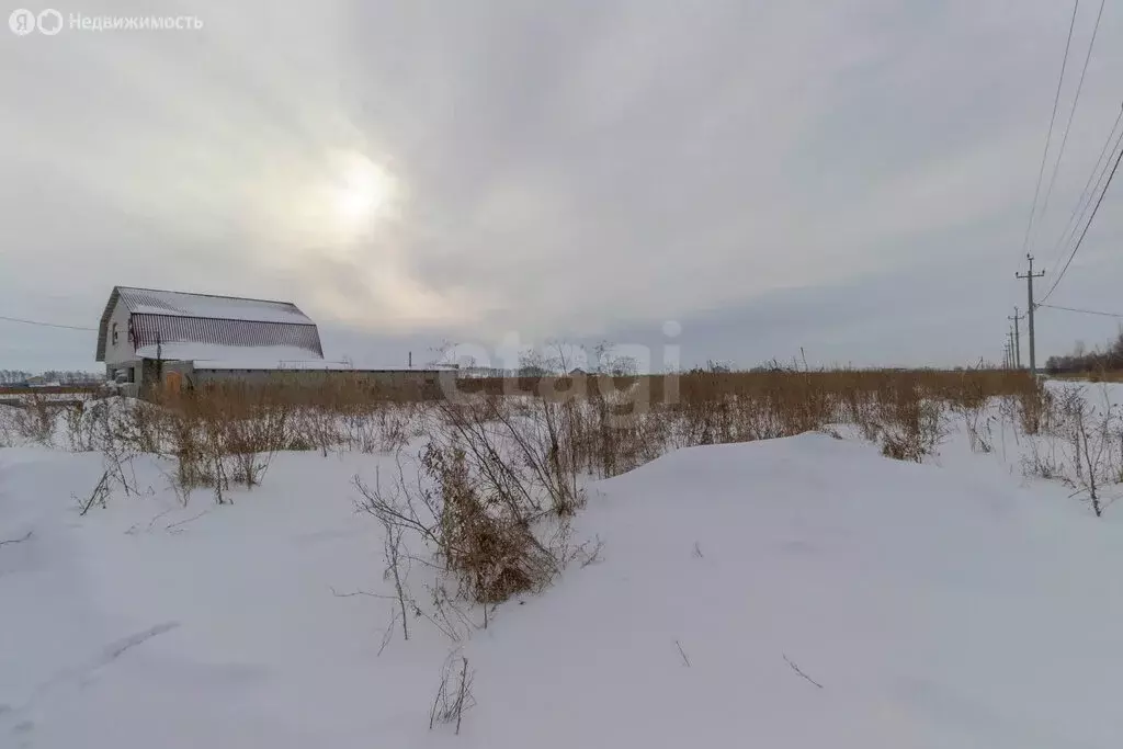 Участок в село Ребровка, Царскосельская улица (8.5 м) - Фото 1