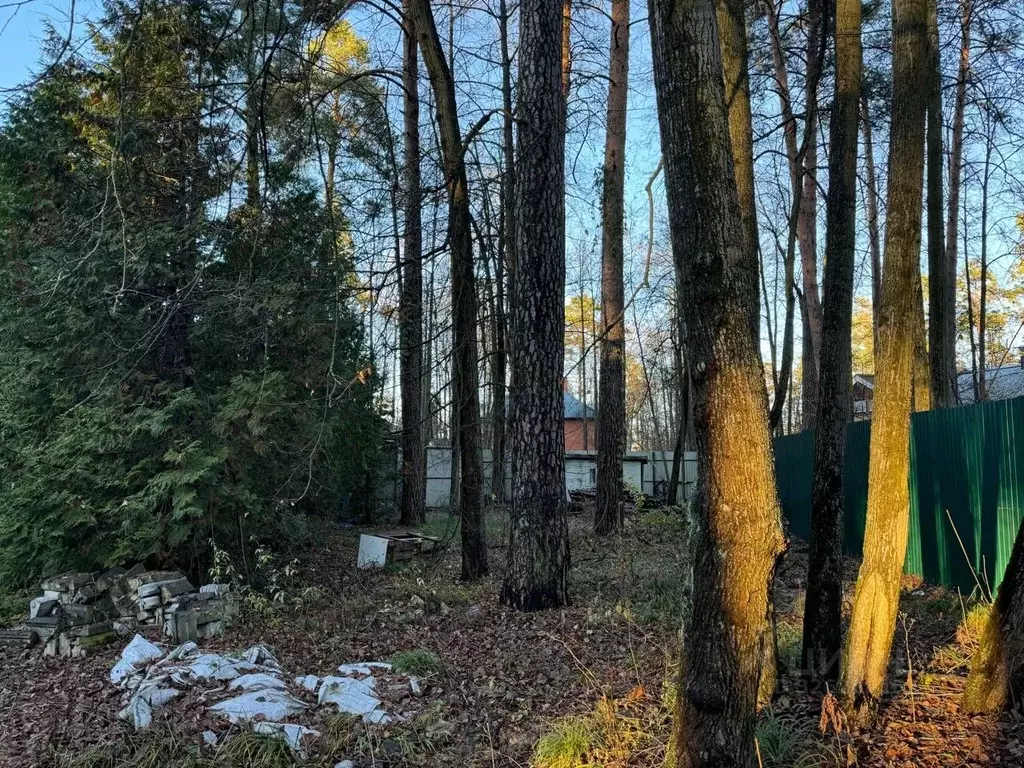 Участок в Московская область, Одинцовский городской округ, д. Жуковка, ... - Фото 2