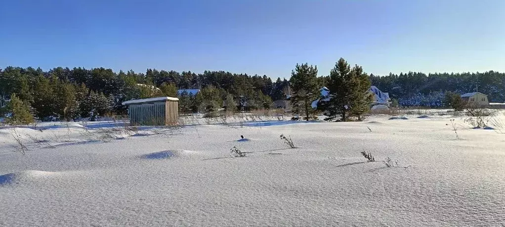 Участок в Свердловская область, Тугулымский муниципальный округ, с. ... - Фото 1