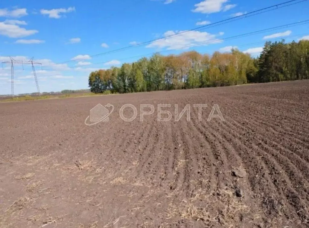 Участок в Тюменская область, Тюменский район, с. Кулига  (299.43 сот.) - Фото 1