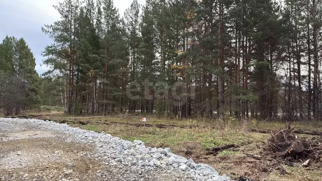 Участок в Челябинская область, Миасский городской округ, с. Сыростан, ... - Фото 1