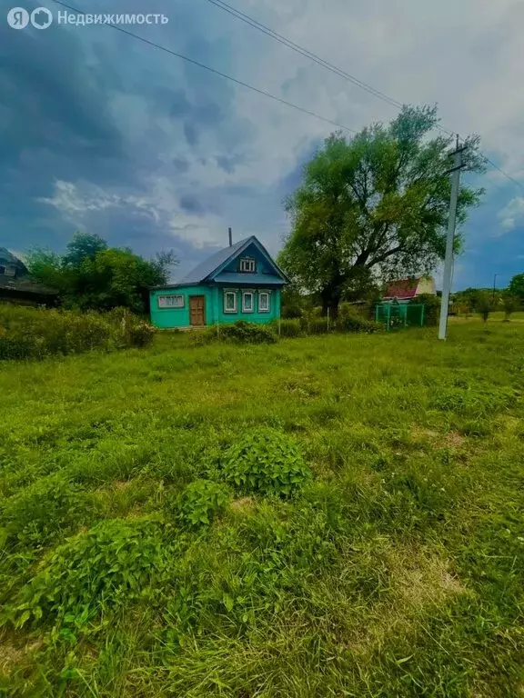 Дом в Нижегородская область, Большемурашкинский муниципальный округ, ... - Фото 1