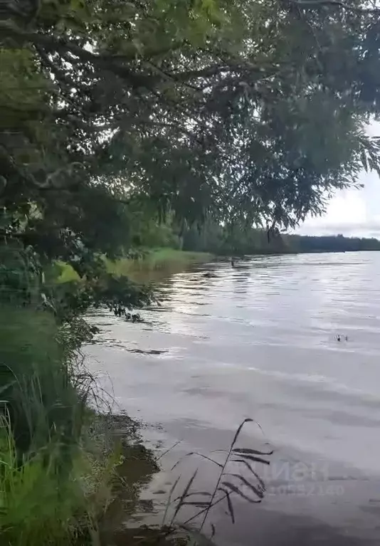 Участок в Тверская область, Кашинский муниципальный округ, д. ... - Фото 1