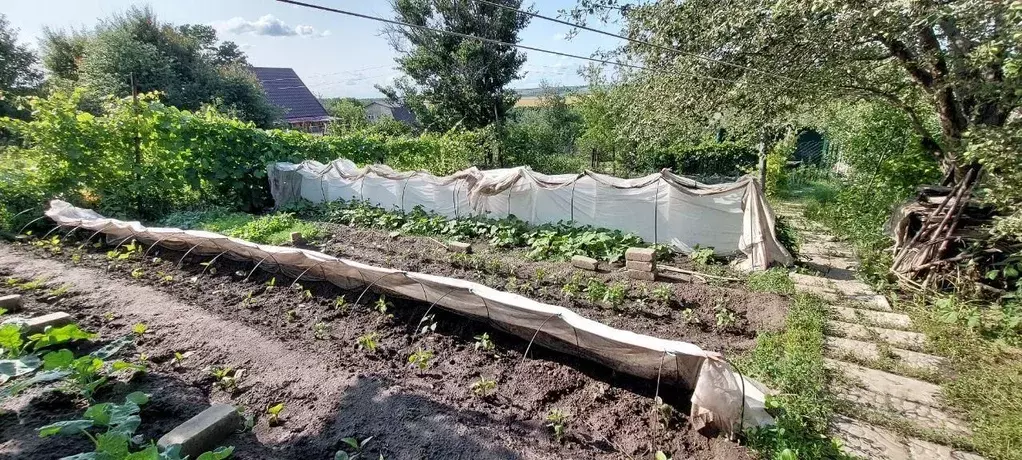 Участок в Саратовская область, Саратов ул. Волжский берег, 66 (10.0 ... - Фото 1