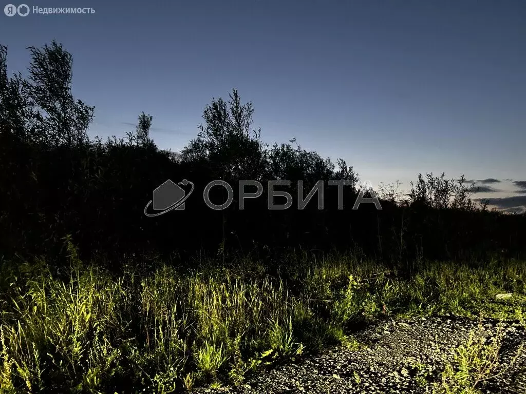 Участок в Тюменский район, село Чикча (50 м) - Фото 0