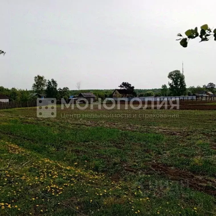 Дом в Амурская область, Серышевский муниципальный округ, с. Бочкаревка ... - Фото 2