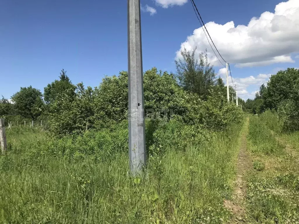 Участок в Костромская область, Костромской район, Бакшеевское с/пос, ... - Фото 2