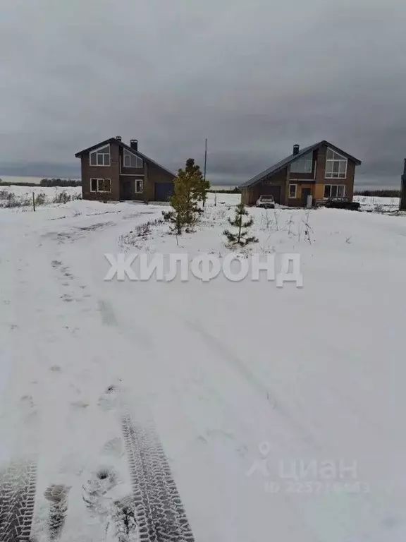 Участок в Новосибирская область, Мошковский район, пос. Октябрьский ... - Фото 2