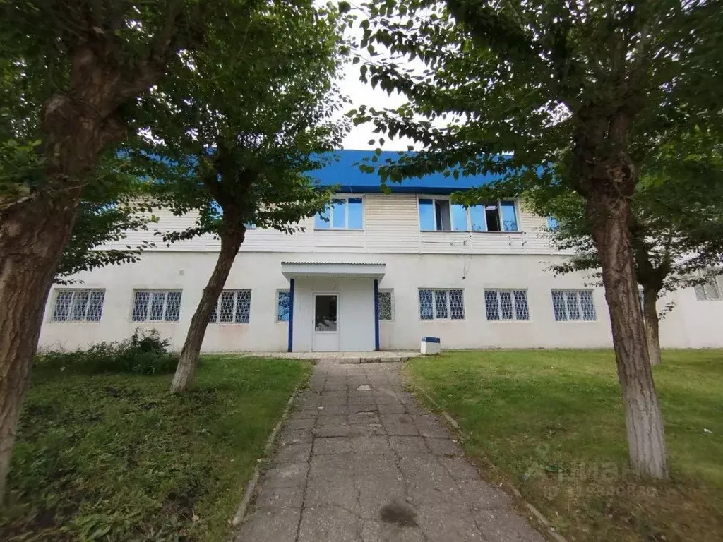 Помещение свободного назначения в Татарстан, Набережные Челны ... - Фото 1