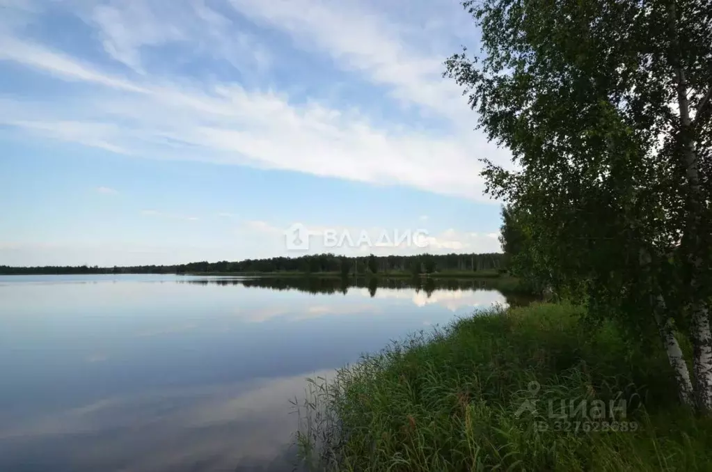 Участок в Московская область, Клин городской округ, д. Подорки ул. ... - Фото 2