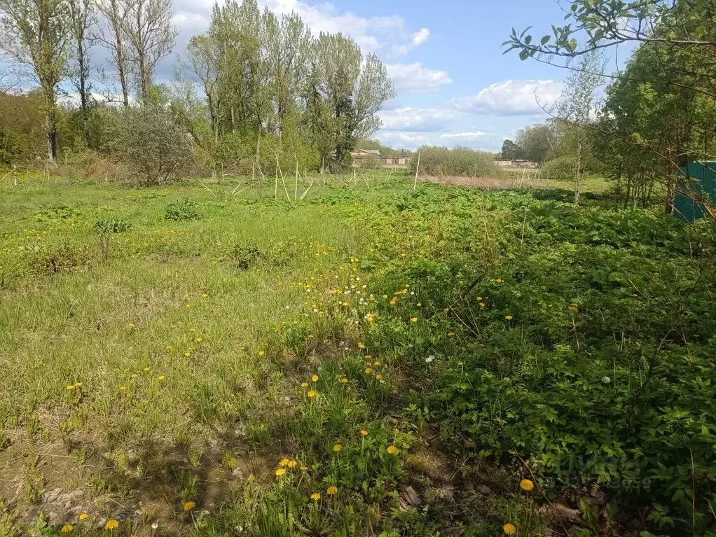 Участок в Московская область, Солнечногорск городской округ, Чашниково ... - Фото 1