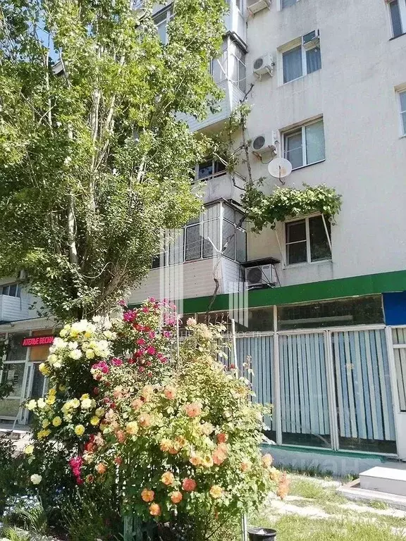 1-к кв. Краснодарский край, Новороссийск ул. Видова, 137 (35.0 м) - Фото 2