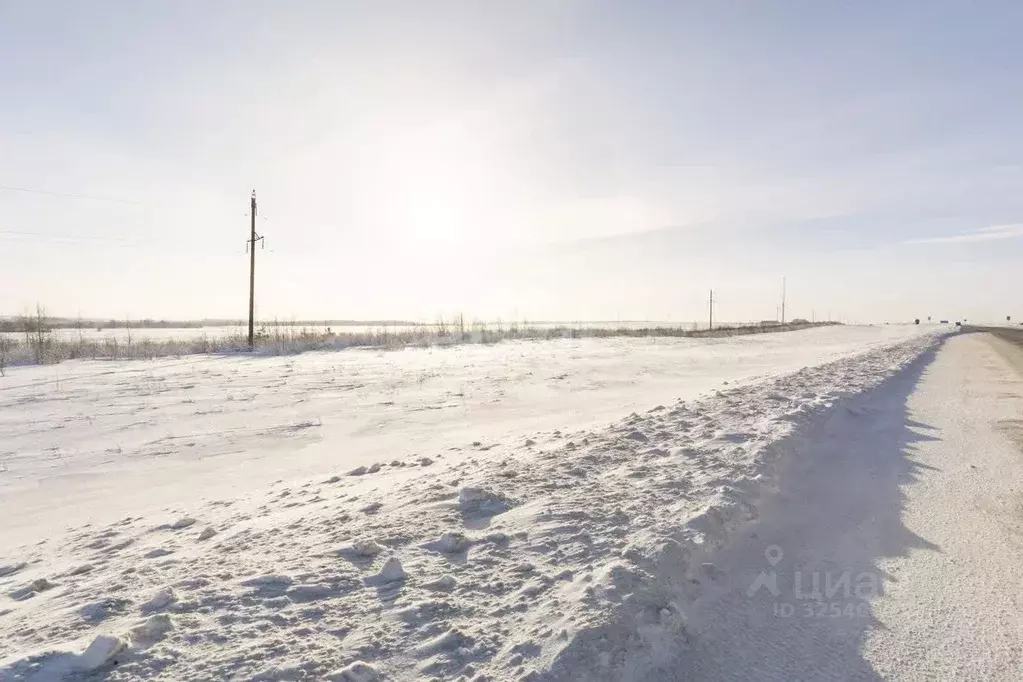 Участок в Татарстан, Тукаевский район, д. Азьмушкино  (650.0 сот.) - Фото 1