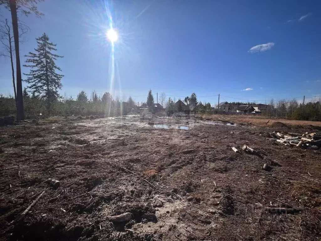 Участок в Коми, Сыктывкар городской округ, Краснозатонский пгт ул. ... - Фото 1