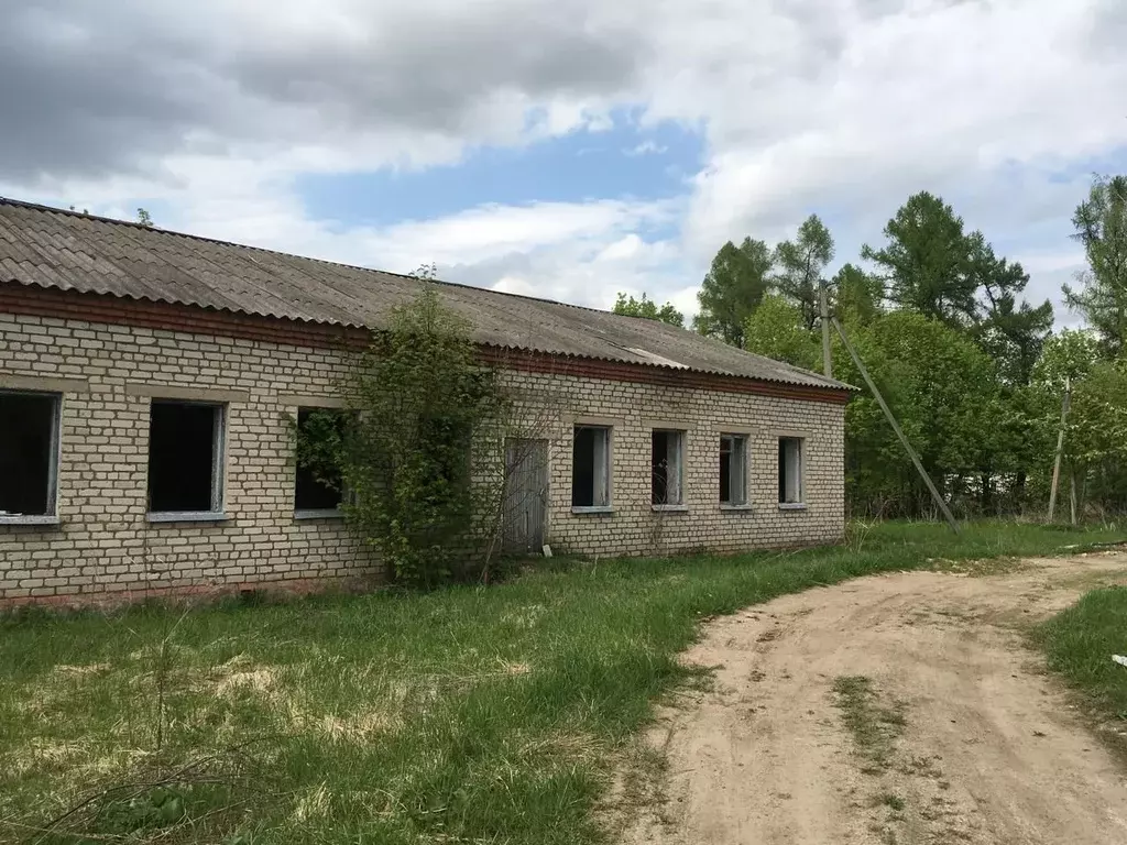 Участок в Калужская область, Село Бабынино с/пос, д. Альшаны  (17.0 ... - Фото 1