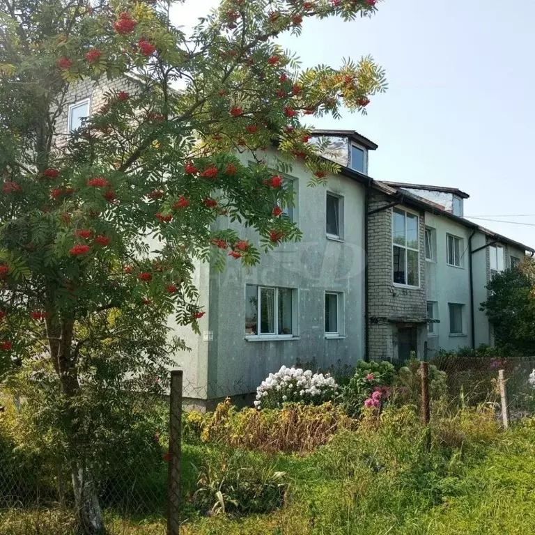 2-к кв. Калининградская область, Багратионовский муниципальный округ, ... - Фото 1