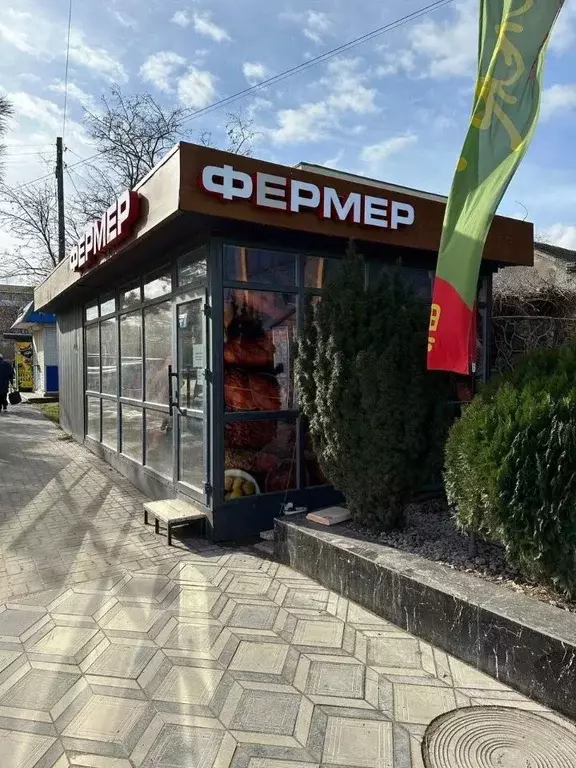Помещение свободного назначения в Крым, Черноморское пгт ул. Кирова, ... - Фото 2