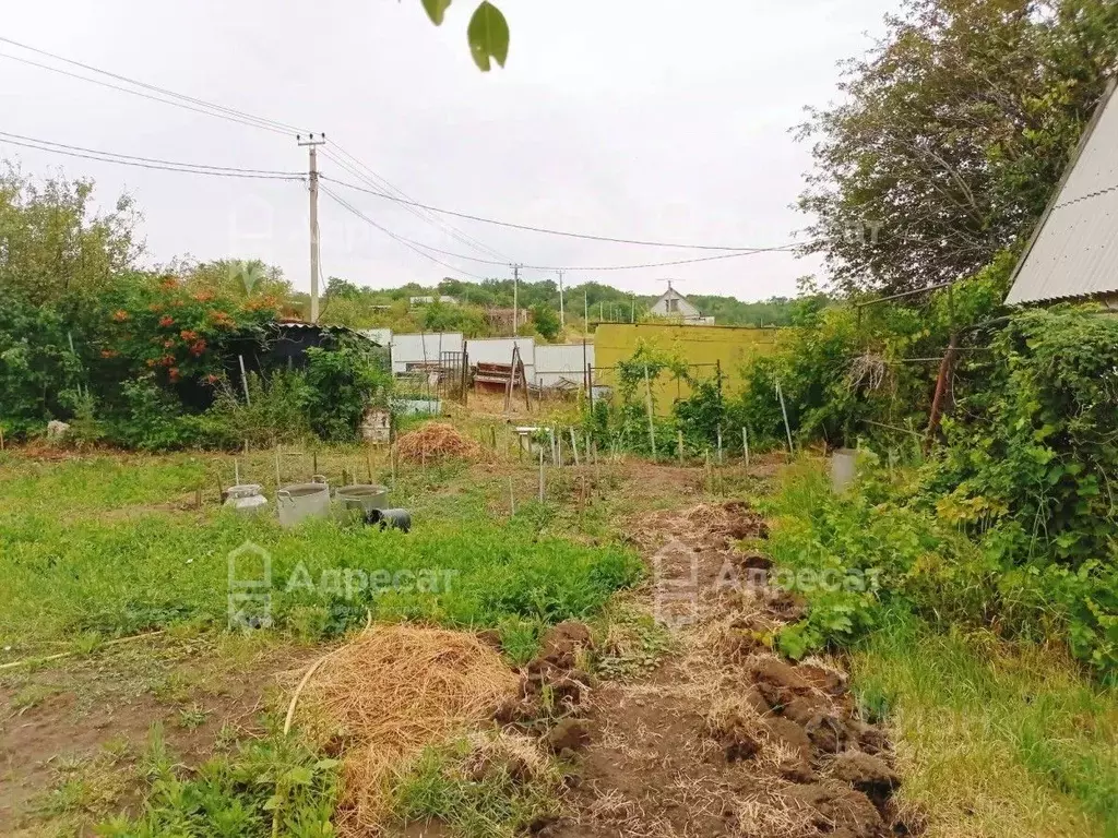 Дом в Волгоградская область, Волгоград Авангард СНТ,  (70 м) - Фото 1