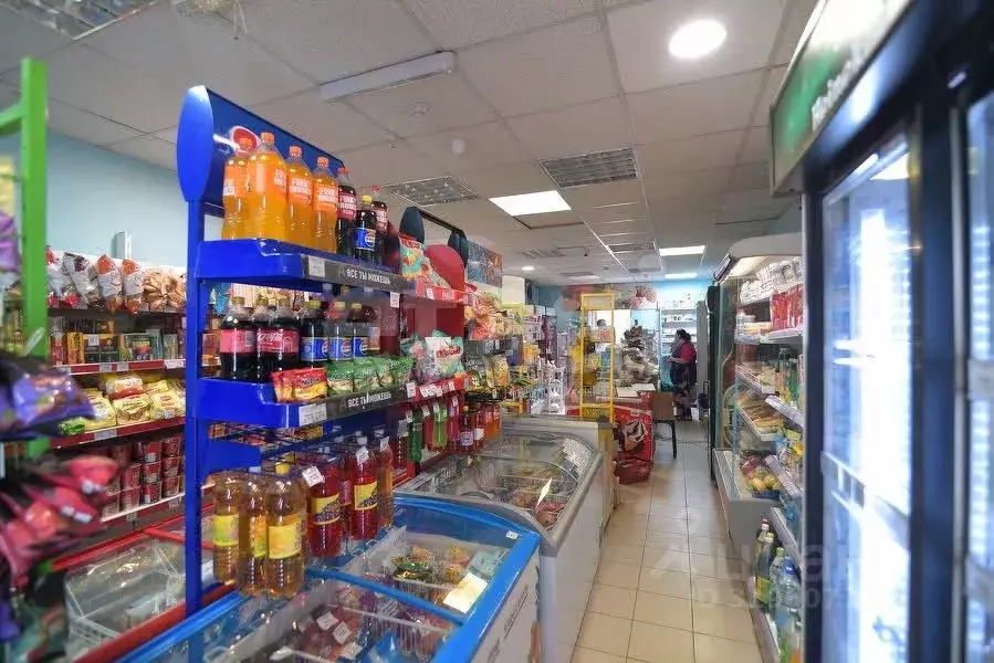 Торговая площадь в Сахалинская область, Южно-Сахалинск ул. Ленина, 246 ... - Фото 2