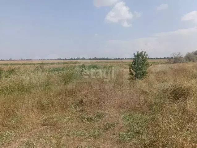 Участок 100 сот. (личное подсобное хозяйство (лпх)) - Фото 0