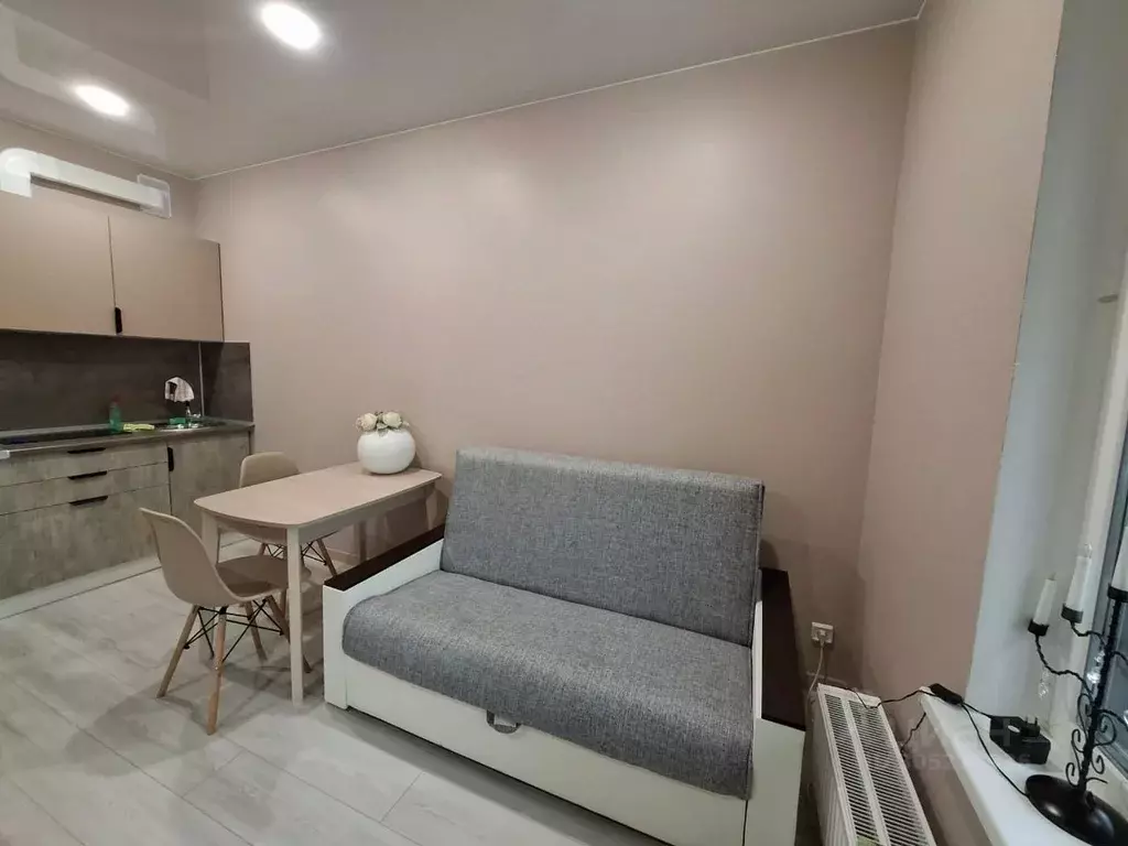 Студия Санкт-Петербург ул. Русановская, 20к3 (24.0 м) - Фото 0