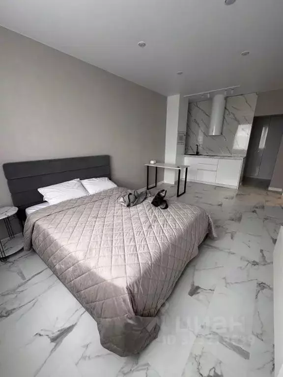 Студия Сахалинская область, Южно-Сахалинск ул. Ленина, 563к5 (24.0 м) - Фото 1