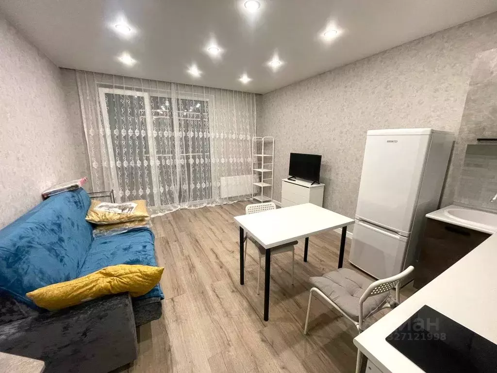 Студия Санкт-Петербург пос. Шушары, просп. Новгородский, 2к3 (25.0 м) - Фото 2