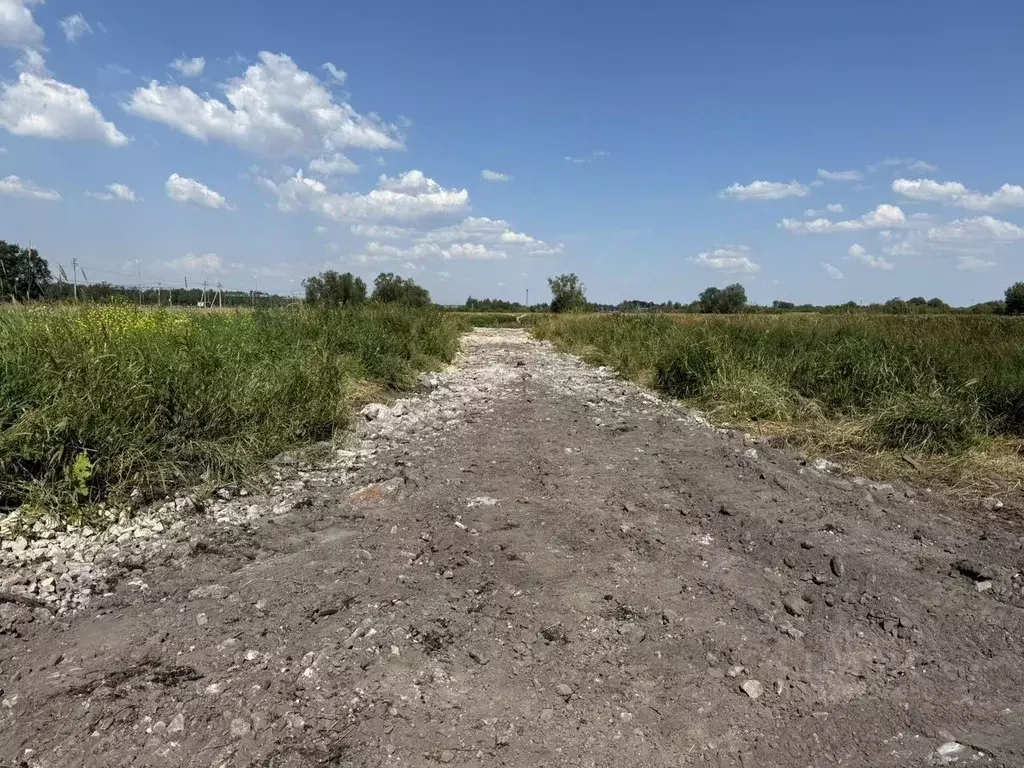 Участок в Ленинградская область, Гатчинский муниципальный округ, Ижора ... - Фото 1