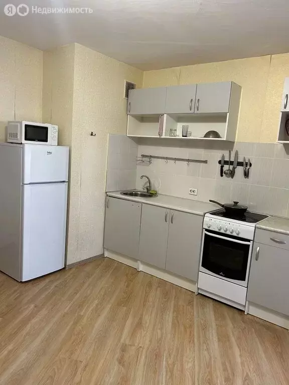Квартира-студия: Санкт-Петербург, проспект Энгельса, 41 (27.5 м) - Фото 2