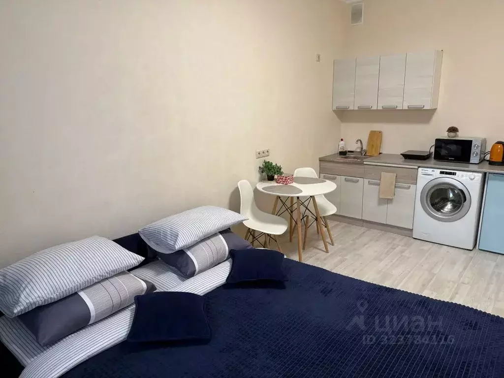 Студия Московская область, Солнечногорск городской округ, Голубое пгт ... - Фото 1