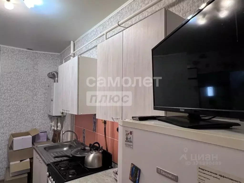 1-к кв. Краснодарский край, Геленджик Дивноморская ул., 37к14 (30.0 м) - Фото 2