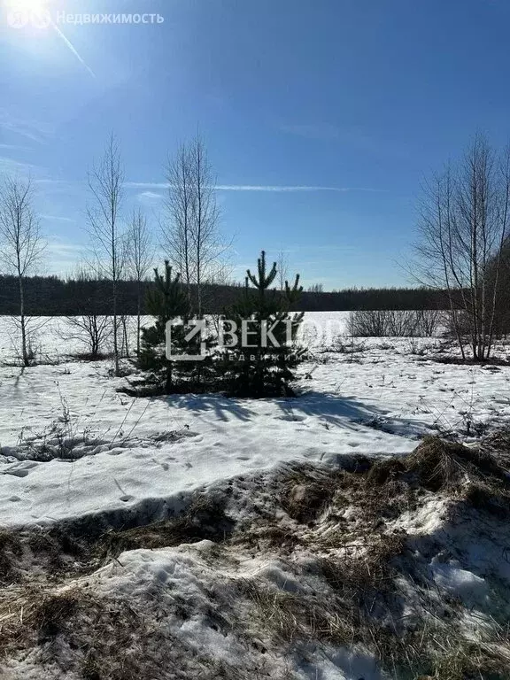 Участок в Костромской район, Бакшеевское сельское поселение, деревня ... - Фото 2