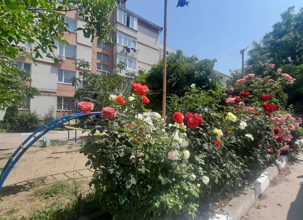 1-к кв. Крым, Симферополь ул. Тургенева, 21 (36.0 м) - Фото 2